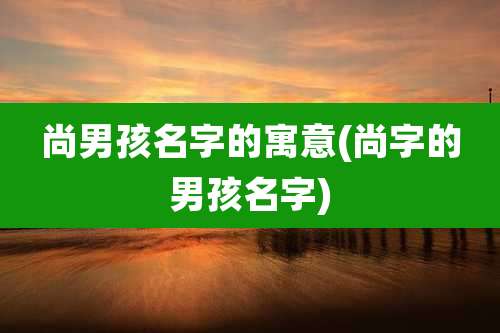 尚男孩名字的寓意(尚字的男孩名字)