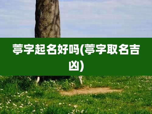 葶字起名好吗(葶字取名吉凶)