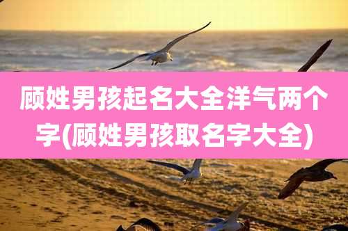 顾姓男孩起名大全洋气两个字(顾姓男孩取名字大全)