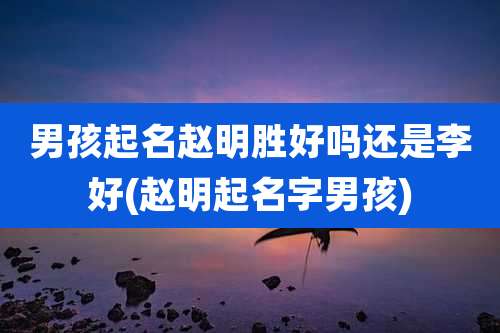 男孩起名赵明胜好吗还是李好(赵明起名字男孩)