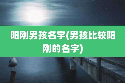 阳刚男孩名字(男孩比较阳刚的名字)