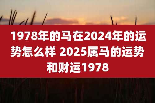 1978年的马在2024年的运势怎么样 2025属马的运势和财运1978