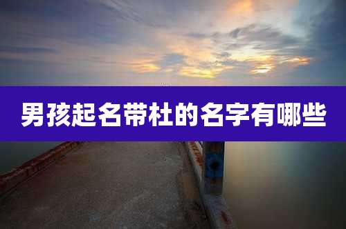 男孩起名带杜的名字有哪些