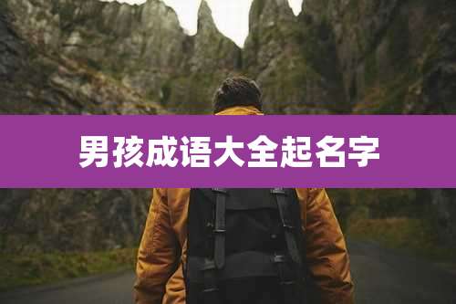 男孩成语大全起名字