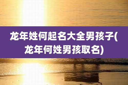 龙年姓何起名大全男孩子(龙年何姓男孩取名)