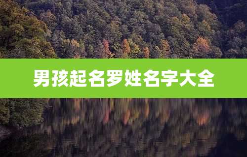 男孩起名罗姓名字大全