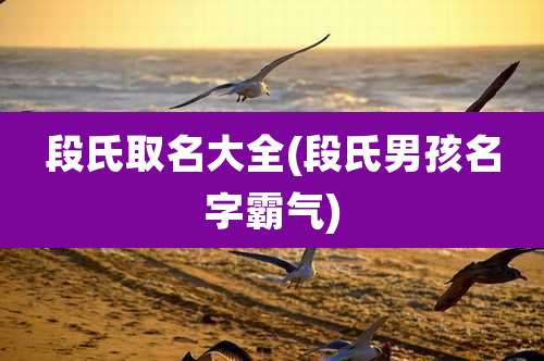 段氏取名大全(段氏男孩名字霸气)