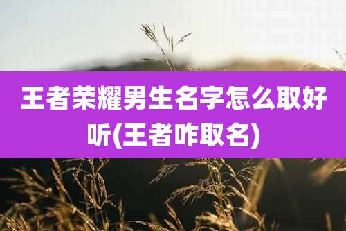 王者荣耀男生名字怎么取好听(王者咋取名)