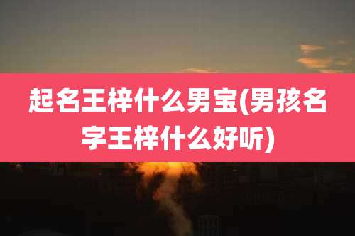 起名王梓什么男宝(男孩名字王梓什么好听)