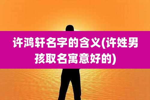 许鸿轩名字的含义(许姓男孩取名寓意好的)