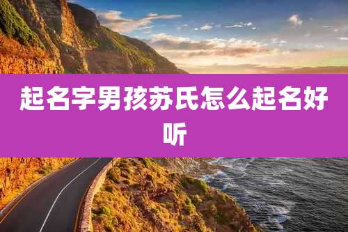 起名字男孩苏氏怎么起名好听