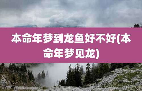 本命年梦到龙鱼好不好(本命年梦见龙)