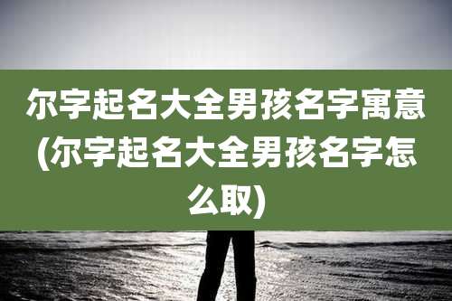 尔字起名大全男孩名字寓意(尔字起名大全男孩名字怎么取)