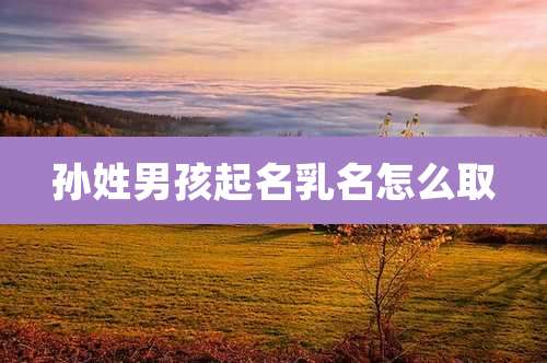 孙姓男孩起名乳名怎么取