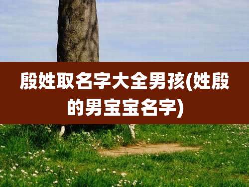 殷姓取名字大全男孩(姓殷的男宝宝名字)