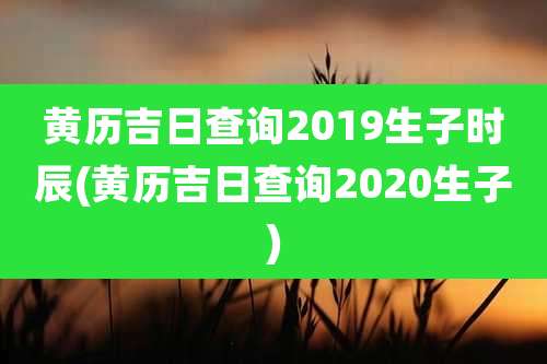 黄历吉日查询2019生子时辰(黄历吉日查询2020生子)