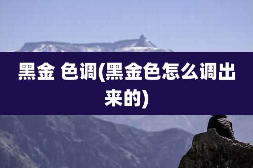 黑金 色调(黑金色怎么调出来的)