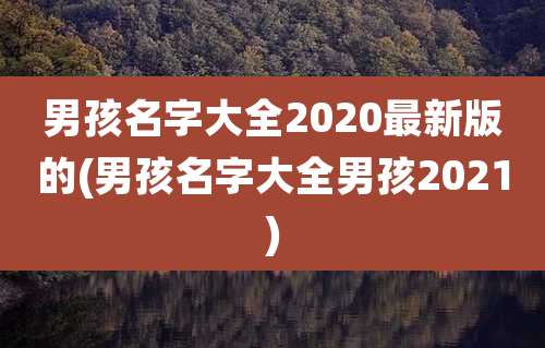 男孩名字大全2020最新版的(男孩名字大全男孩2021)