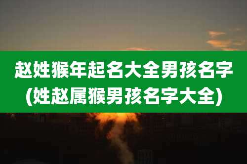 赵姓猴年起名大全男孩名字(姓赵属猴男孩名字大全)