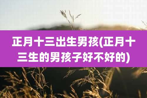 正月十三出生男孩(正月十三生的男孩子好不好的)