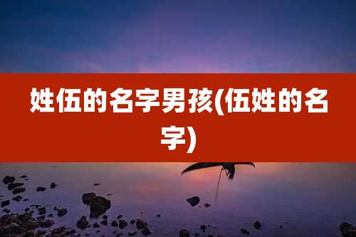 姓伍的名字男孩(伍姓的名字)