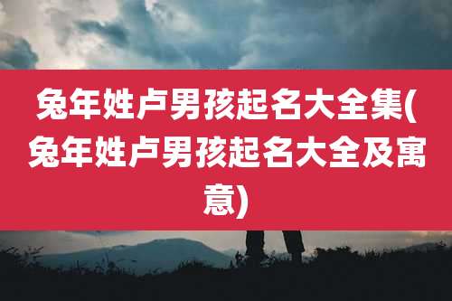 兔年姓卢男孩起名大全集(兔年姓卢男孩起名大全及寓意)