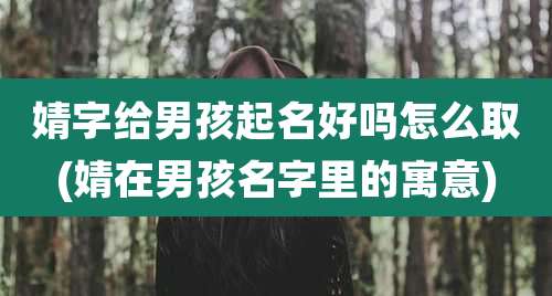 婧字给男孩起名好吗怎么取(婧在男孩名字里的寓意)