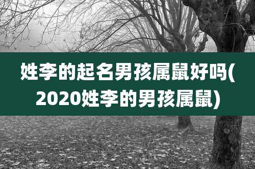 姓李的起名男孩属鼠好吗(2020姓李的男孩属鼠)