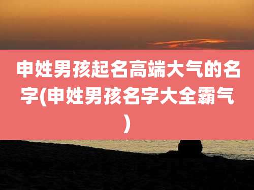 申姓男孩起名高端大气的名字(申姓男孩名字大全霸气)