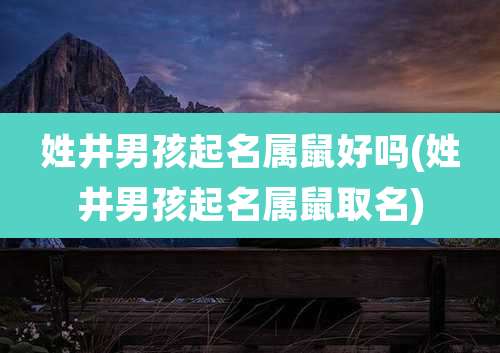 姓井男孩起名属鼠好吗(姓井男孩起名属鼠取名)
