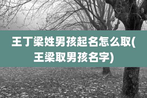 王丁梁姓男孩起名怎么取(王梁取男孩名字)