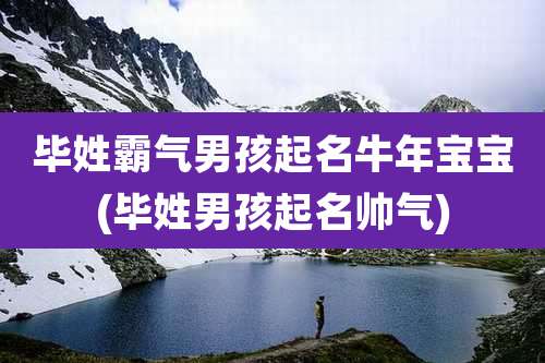 毕姓霸气男孩起名牛年宝宝(毕姓男孩起名帅气)