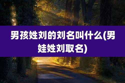 男孩姓刘的刘名叫什么(男娃姓刘取名)