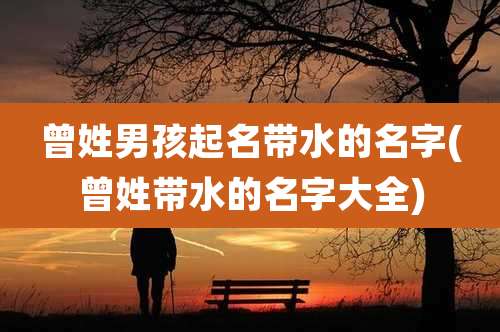 曾姓男孩起名带水的名字(曾姓带水的名字大全)