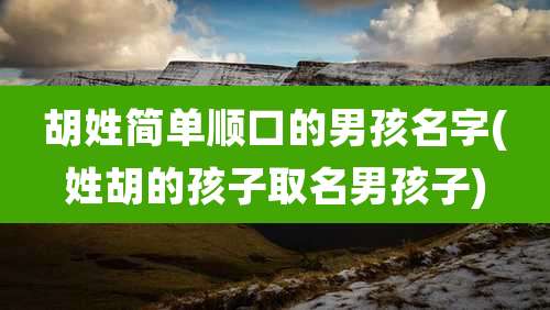 胡姓简单顺口的男孩名字(姓胡的孩子取名男孩子)