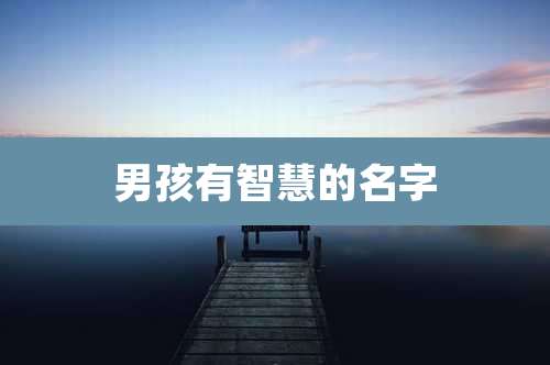 男孩有智慧的名字
