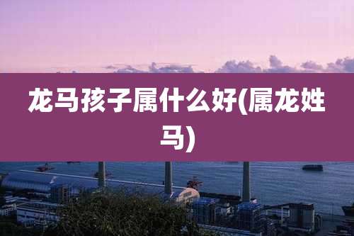 龙马孩子属什么好(属龙姓马)