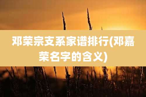 邓荣宗支系家谱排行(邓嘉荣名字的含义)