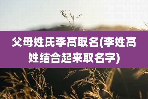 父母姓氏李高取名(李姓高姓结合起来取名字)
