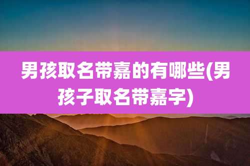 男孩取名带嘉的有哪些(男孩子取名带嘉字)