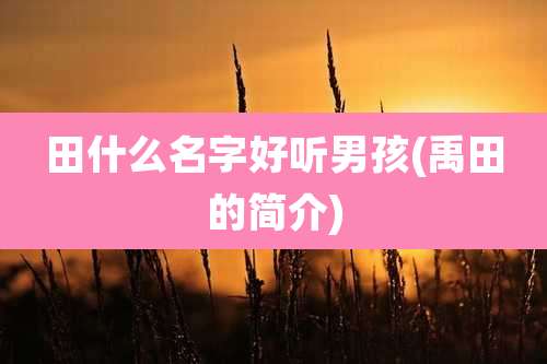 田什么名字好听男孩(禹田的简介)
