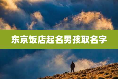 东京饭店起名男孩取名字