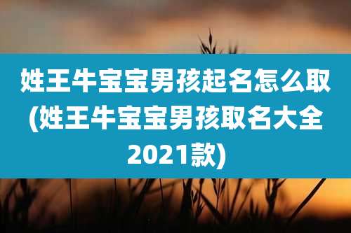 姓王牛宝宝男孩起名怎么取(姓王牛宝宝男孩取名大全2021款)