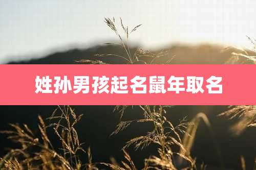 姓孙男孩起名鼠年取名