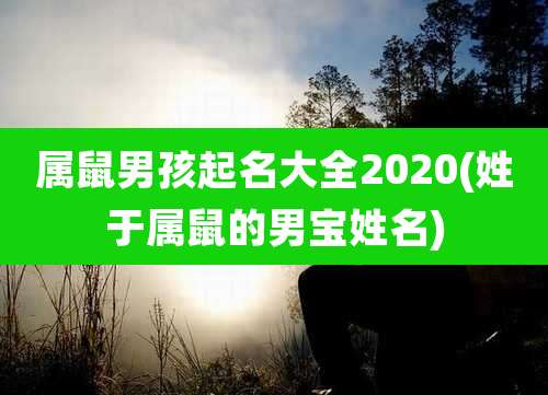 属鼠男孩起名大全2020(姓于属鼠的男宝姓名)