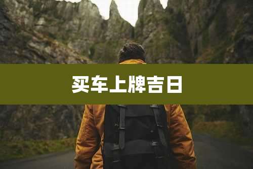 买车上牌吉日