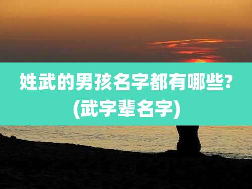 姓武的男孩名字都有哪些?(武字辈名字)