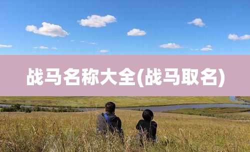 战马名称大全(战马取名)