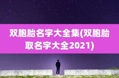 双胞胎名字大全集(双胞胎取名字大全2021)