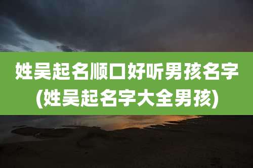 姓吴起名顺口好听男孩名字(姓吴起名字大全男孩)